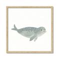 Picture of Spotted Seal _GroupedProduct_Square_Mini_ _GroupedProduct_Square_Framed_Matted_