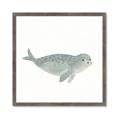 Picture of Spotted Seal _GroupedProduct_Square_Mini_ _GroupedProduct_Square_Framed_Matted_