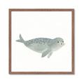 Picture of Spotted Seal _GroupedProduct_Square_Mini_ _GroupedProduct_Square_Framed_Matted_