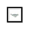 Picture of Spotted Seal _GroupedProduct_Square_Mini_ _GroupedProduct_Square_Framed_Matted_