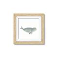 Picture of Spotted Seal _GroupedProduct_Square_Mini_ _GroupedProduct_Square_Framed_Matted_