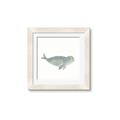 Picture of Spotted Seal _GroupedProduct_Square_Mini_ _GroupedProduct_Square_Framed_Matted_