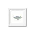 Picture of Spotted Seal _GroupedProduct_Square_Mini_ _GroupedProduct_Square_Framed_Matted_