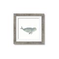 Picture of Spotted Seal _GroupedProduct_Square_Mini_ _GroupedProduct_Square_Framed_Matted_
