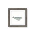 Picture of Spotted Seal _GroupedProduct_Square_Mini_ _GroupedProduct_Square_Framed_Matted_
