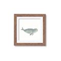 Picture of Spotted Seal _GroupedProduct_Square_Mini_ _GroupedProduct_Square_Framed_Matted_