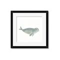 Picture of Spotted Seal _GroupedProduct_Square_Mini_ _GroupedProduct_Square_Framed_Matted_