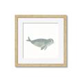 Picture of Spotted Seal _GroupedProduct_Square_Mini_ _GroupedProduct_Square_Framed_Matted_