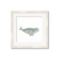 Picture of Spotted Seal _GroupedProduct_Square_Mini_ _GroupedProduct_Square_Framed_Matted_