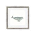 Picture of Spotted Seal _GroupedProduct_Square_Mini_ _GroupedProduct_Square_Framed_Matted_