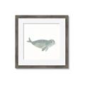 Picture of Spotted Seal _GroupedProduct_Square_Mini_ _GroupedProduct_Square_Framed_Matted_