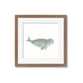 Picture of Spotted Seal _GroupedProduct_Square_Mini_ _GroupedProduct_Square_Framed_Matted_