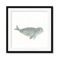 Picture of Spotted Seal _GroupedProduct_Square_Mini_ _GroupedProduct_Square_Framed_Matted_