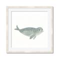 Picture of Spotted Seal _GroupedProduct_Square_Mini_ _GroupedProduct_Square_Framed_Matted_