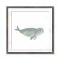 Picture of Spotted Seal _GroupedProduct_Square_Mini_ _GroupedProduct_Square_Framed_Matted_