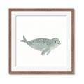 Picture of Spotted Seal _GroupedProduct_Square_Mini_ _GroupedProduct_Square_Framed_Matted_