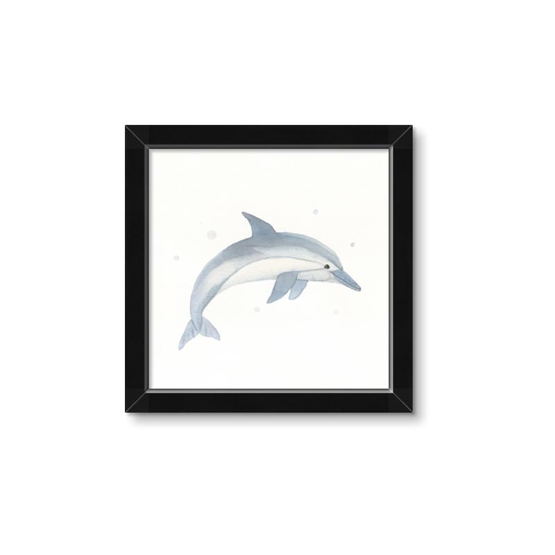 Picture of Dolphin _GroupedProduct_Square_Mini_ _GroupedProduct_Square_Framed_Matted_