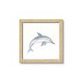 Picture of Dolphin _GroupedProduct_Square_Mini_ _GroupedProduct_Square_Framed_Matted_