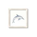 Picture of Dolphin _GroupedProduct_Square_Mini_ _GroupedProduct_Square_Framed_Matted_