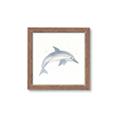 Picture of Dolphin _GroupedProduct_Square_Mini_ _GroupedProduct_Square_Framed_Matted_