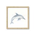 Picture of Dolphin _GroupedProduct_Square_Mini_ _GroupedProduct_Square_Framed_Matted_