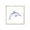 Picture of Dolphin _GroupedProduct_Square_Mini_ _GroupedProduct_Square_Framed_Matted_