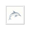 Picture of Dolphin _GroupedProduct_Square_Mini_ _GroupedProduct_Square_Framed_Matted_