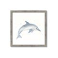 Picture of Dolphin _GroupedProduct_Square_Mini_ _GroupedProduct_Square_Framed_Matted_