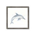Picture of Dolphin _GroupedProduct_Square_Mini_ _GroupedProduct_Square_Framed_Matted_