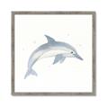 Picture of Dolphin _GroupedProduct_Square_Mini_ _GroupedProduct_Square_Framed_Matted_