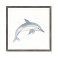 Picture of Dolphin _GroupedProduct_Square_Mini_ _GroupedProduct_Square_Framed_Matted_