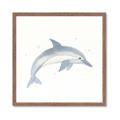 Picture of Dolphin _GroupedProduct_Square_Mini_ _GroupedProduct_Square_Framed_Matted_