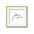 Picture of Dolphin _GroupedProduct_Square_Mini_ _GroupedProduct_Square_Framed_Matted_