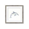 Picture of Dolphin _GroupedProduct_Square_Mini_ _GroupedProduct_Square_Framed_Matted_
