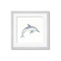 Picture of Dolphin _GroupedProduct_Square_Mini_ _GroupedProduct_Square_Framed_Matted_