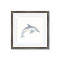 Picture of Dolphin _GroupedProduct_Square_Mini_ _GroupedProduct_Square_Framed_Matted_