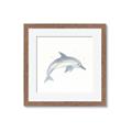 Picture of Dolphin _GroupedProduct_Square_Mini_ _GroupedProduct_Square_Framed_Matted_