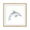 Picture of Dolphin _GroupedProduct_Square_Mini_ _GroupedProduct_Square_Framed_Matted_