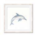 Picture of Dolphin _GroupedProduct_Square_Mini_ _GroupedProduct_Square_Framed_Matted_