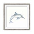 Picture of Dolphin _GroupedProduct_Square_Mini_ _GroupedProduct_Square_Framed_Matted_