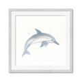 Picture of Dolphin _GroupedProduct_Square_Mini_ _GroupedProduct_Square_Framed_Matted_