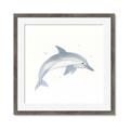 Picture of Dolphin _GroupedProduct_Square_Mini_ _GroupedProduct_Square_Framed_Matted_