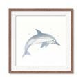 Picture of Dolphin _GroupedProduct_Square_Mini_ _GroupedProduct_Square_Framed_Matted_