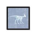 Picture of Blue X-ray Dino I _GroupedProduct_Square_Mini_ _GroupedProduct_Square_Framed_Matted_