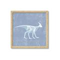 Picture of Blue X-ray Dino I _GroupedProduct_Square_Mini_ _GroupedProduct_Square_Framed_Matted_