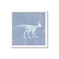 Picture of Blue X-ray Dino I _GroupedProduct_Square_Mini_ _GroupedProduct_Square_Framed_Matted_