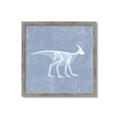 Picture of Blue X-ray Dino I _GroupedProduct_Square_Mini_ _GroupedProduct_Square_Framed_Matted_