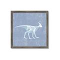 Picture of Blue X-ray Dino I _GroupedProduct_Square_Mini_ _GroupedProduct_Square_Framed_Matted_