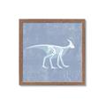 Picture of Blue X-ray Dino I _GroupedProduct_Square_Mini_ _GroupedProduct_Square_Framed_Matted_