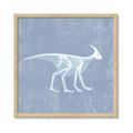 Picture of Blue X-ray Dino I _GroupedProduct_Square_Mini_ _GroupedProduct_Square_Framed_Matted_